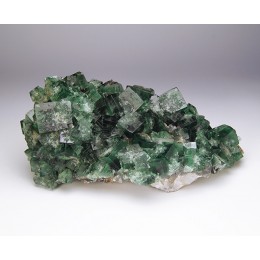 Fluorite Diana Maria Mine - Rogerley M04833
